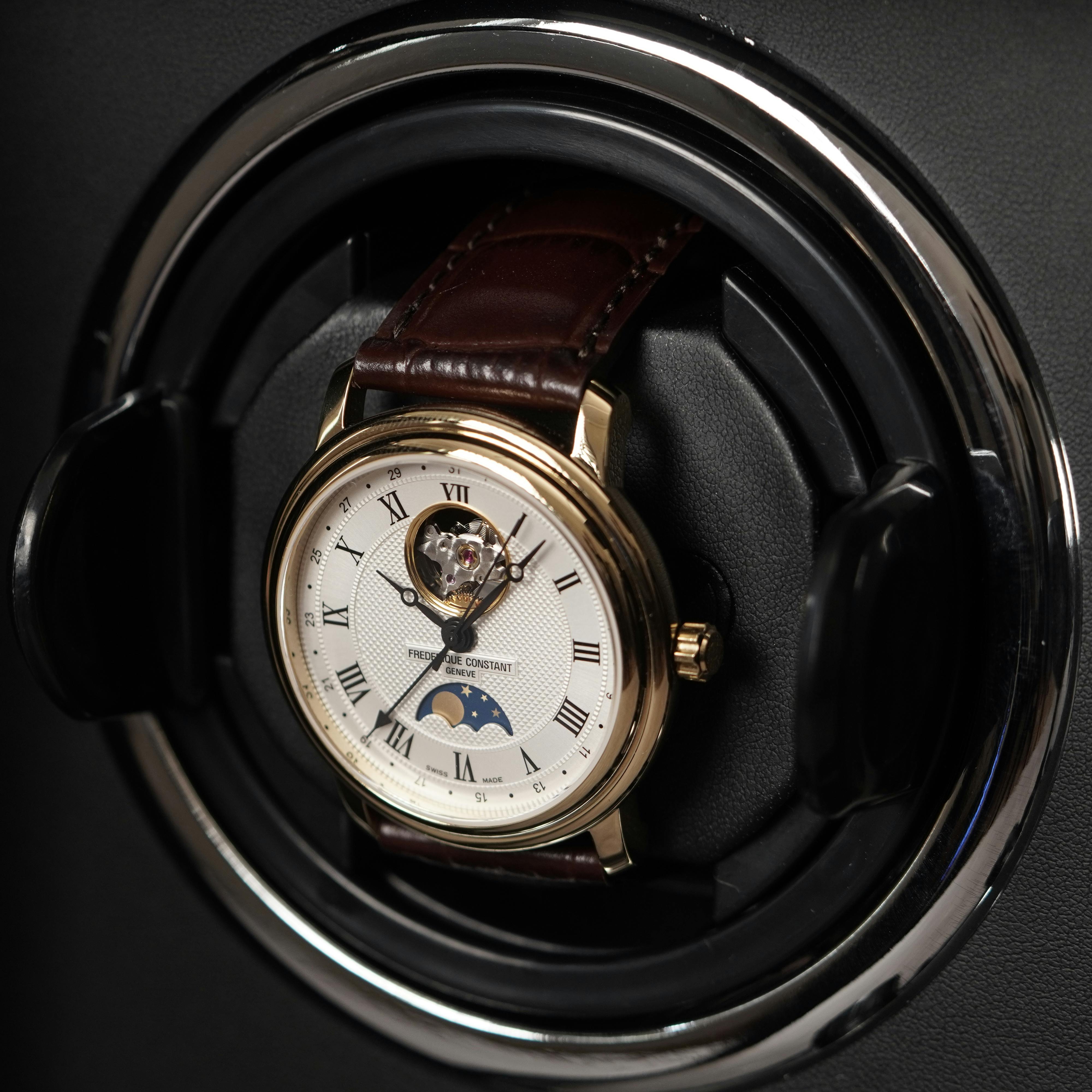 Luxury watch in winder
