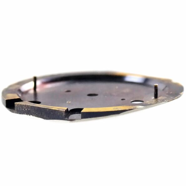 DANIEL ROTH Ellipsocurvex Chronomax 347.Y.70 Watch Dial